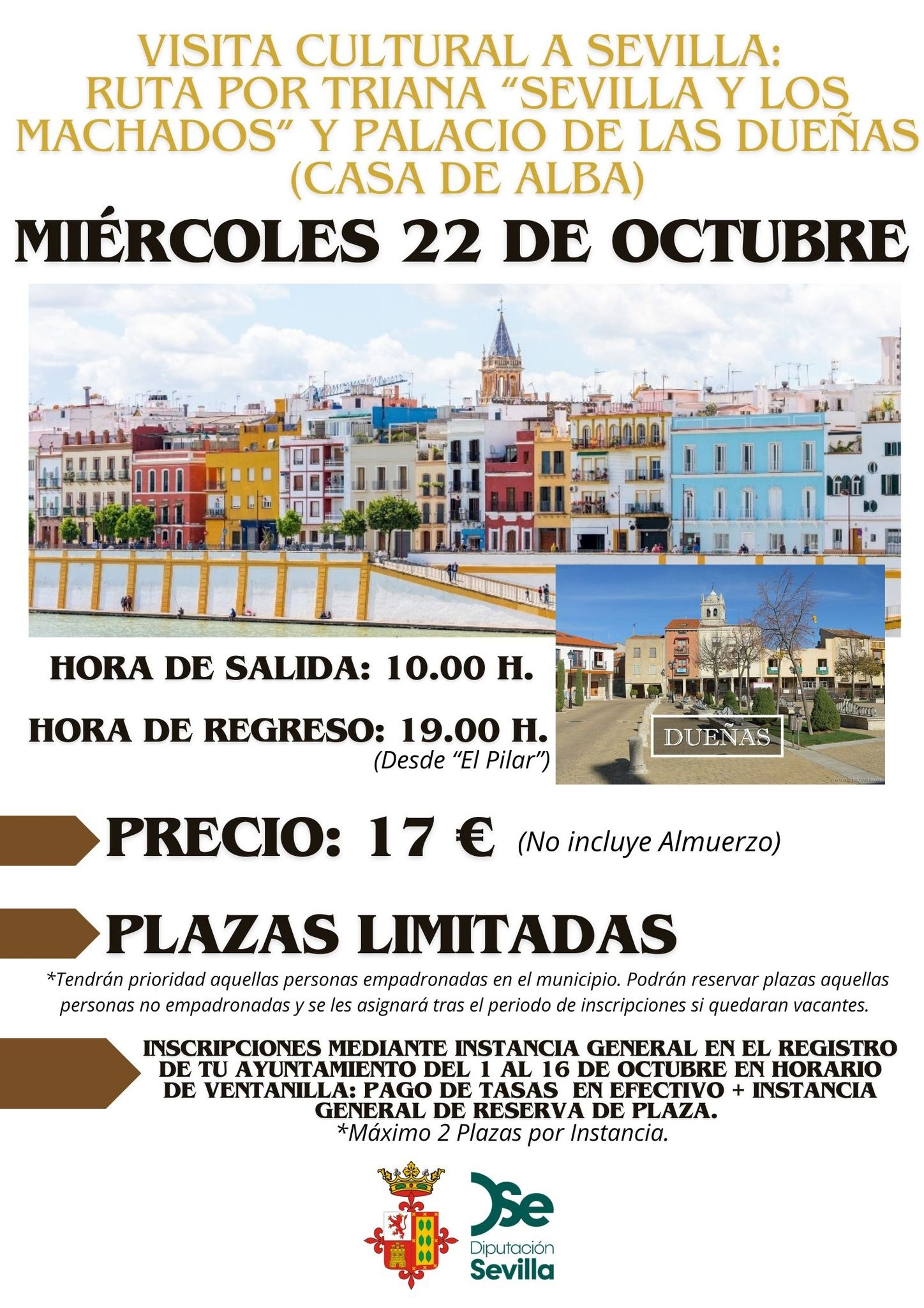 Visita cultural La Sevilla de los Machados y el Palacio de las Dueñas